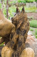 Luchs