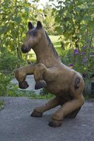 Pferd